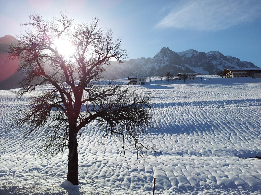 Apartamento Chalet Glockenhof Walchsee Exterior foto